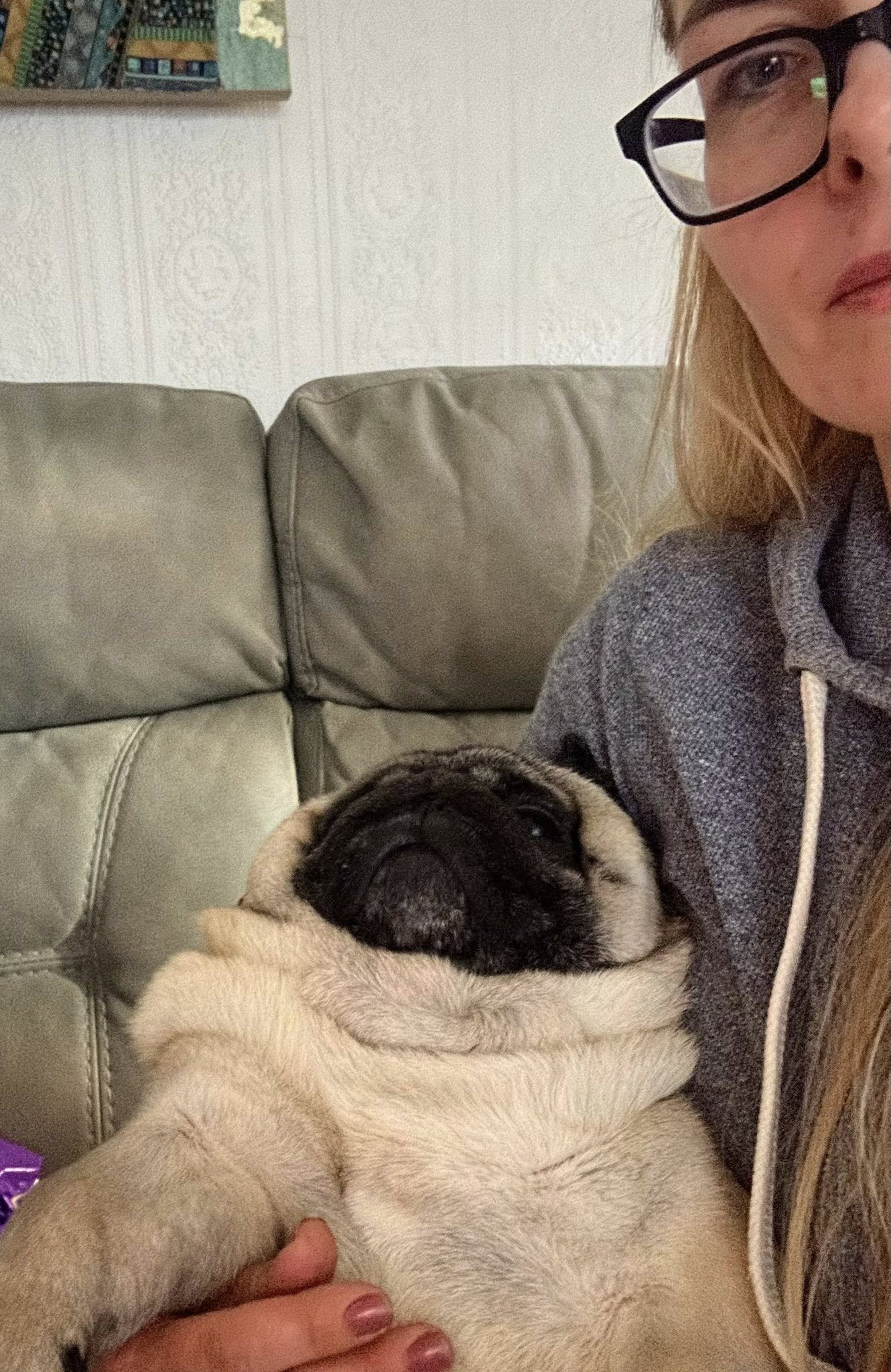 Woman holding wrapped pug puppy