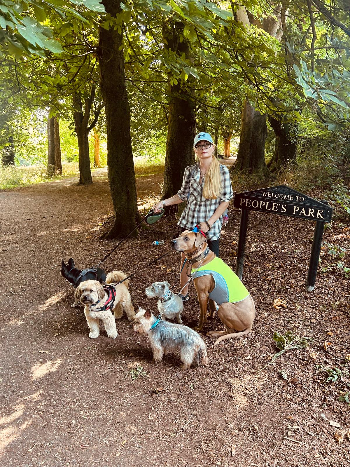 Handler with four dogs on leashes in a Scottish highland field
